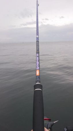 また貝塚人口島タチウオ遠征