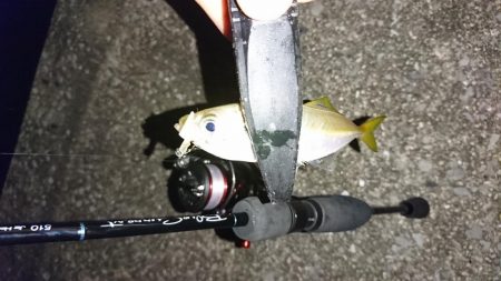 アジング・エギング