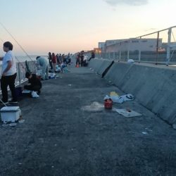 タチウオフィーバー