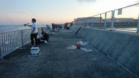 タチウオフィーバー