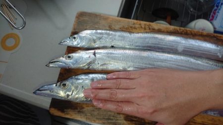 静岡県で初タチ