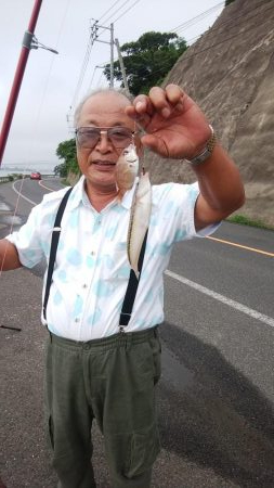 境水道で五目釣り