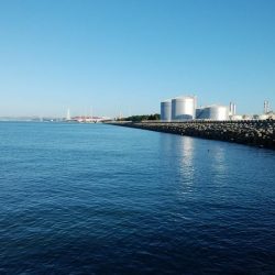 高砂港でハゼ入れ食い