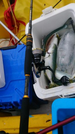 二馬力ボートで釣り三昧