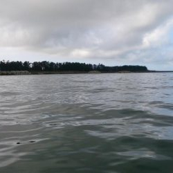 二馬力ボート釣行