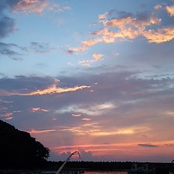 アナハゼだけは高活性