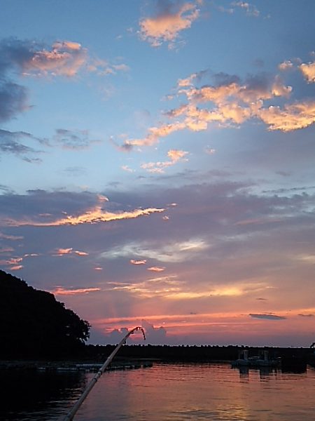 アナハゼだけは高活性