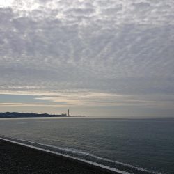 青物、太刀魚狙い