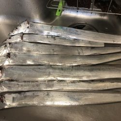 どじょう強し！