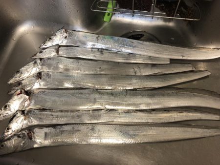 どじょう強し！