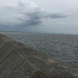 とにかくゲキシブ