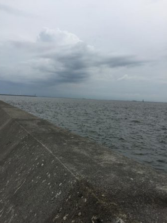 とにかくゲキシブ