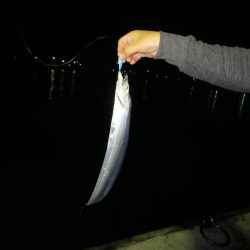 台風前の最終釣行