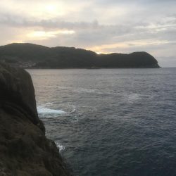 アカハタちゃん