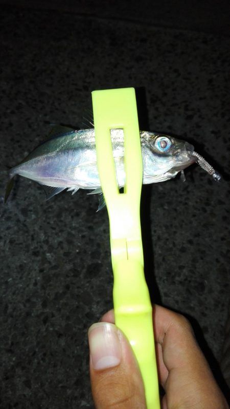 ナイトあーじ＆たーちー