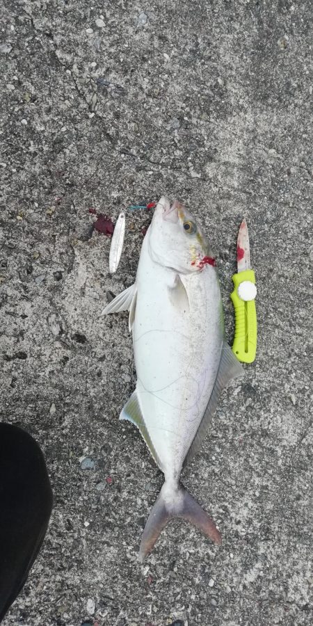 ライトショアジギング