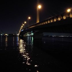 南港カモメ大橋ヘチ釣行 （真チヌ47cm！、キビレチヌ、 釣果他有り）