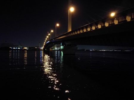 南港カモメ大橋ヘチ釣行 （真チヌ47cm！、キビレチヌ、 釣果他有り）