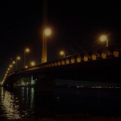 南港カモメ大橋ヘチ釣行 （真チヌ44cm、小キビレチヌ、 釣果）