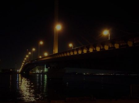 南港カモメ大橋ヘチ釣行 （真チヌ44cm、小キビレチヌ、 釣果）