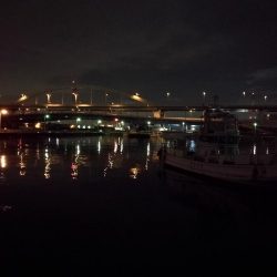 南港フェリーヘチ釣り （渋かった、小キビレ、小真チヌ 他釣果）