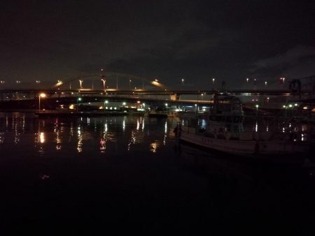 南港フェリーヘチ釣り （渋かった、小キビレ、小真チヌ 他釣果）