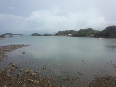 ｷｽ釣れました！