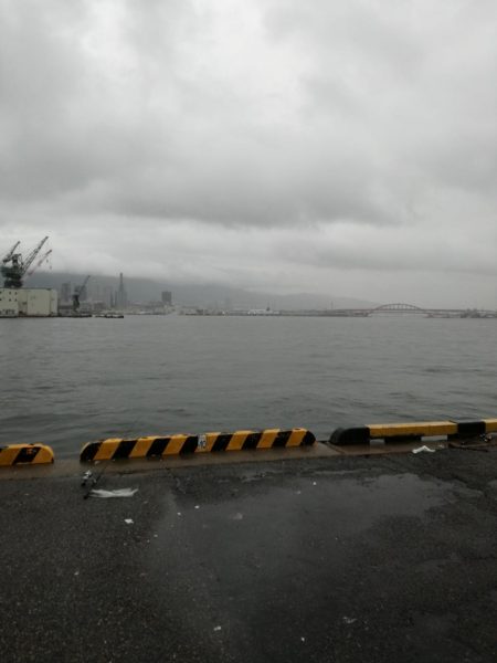 にごりの中のタチウオ