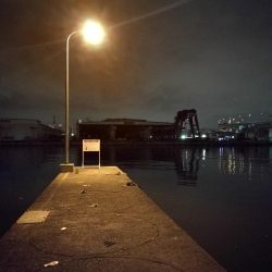 南港フェリーヘチ釣り （続渋い、小真チヌ、小キビレ 釣果）