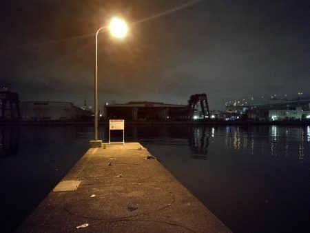 南港フェリーヘチ釣り （続渋い、小真チヌ、小キビレ 釣果）