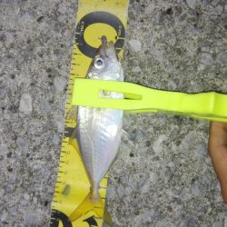 あーじアイエヌジー