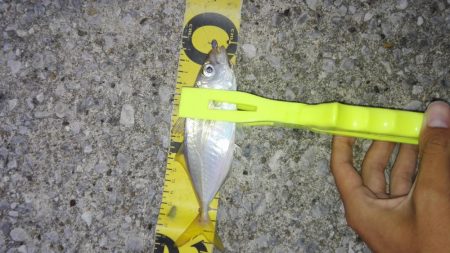 あーじアイエヌジー