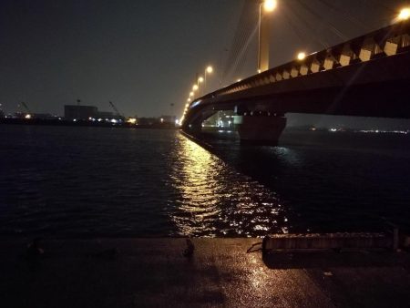 雨天の南港カモメ大橋ヘチ釣行 (キビレチヌ30cm、黒メバル釣果有り)