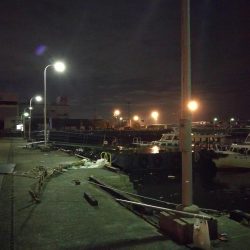 小雨降る、南港フェリーヘチ釣り （渋い！小キビレ、小真チヌ 釣果のみ）