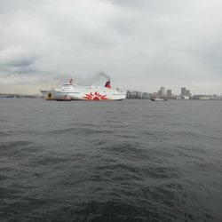 タチウオ活性高い！