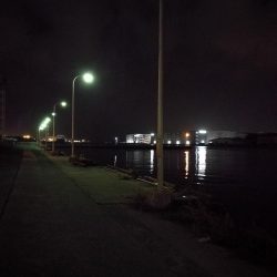 南港フェリーヘチ釣り (真チヌ37cm、小キビレチヌ 釣果)