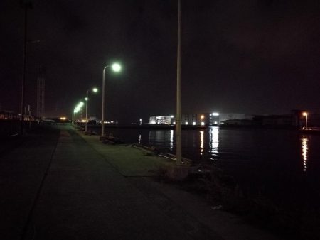 南港フェリーヘチ釣り (真チヌ37cm、小キビレチヌ 釣果)