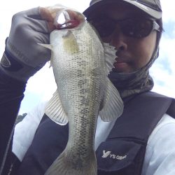 夏より浅いところに来ています。