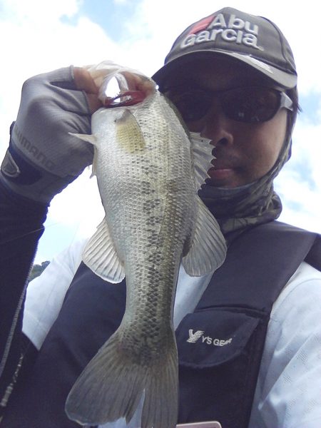 夏より浅いところに来ています。