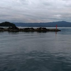 天気予報が違ったので