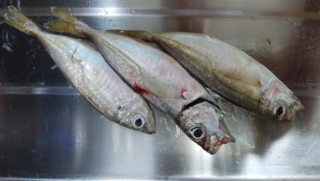 ジグサビキ　ワインド　シーバス