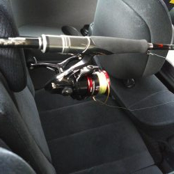 マズメは釣れる