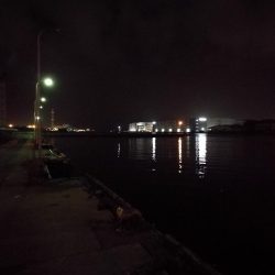 南港フェリーヘチ釣り （小キビレ、小真チヌ、ガシラ 釣果有）