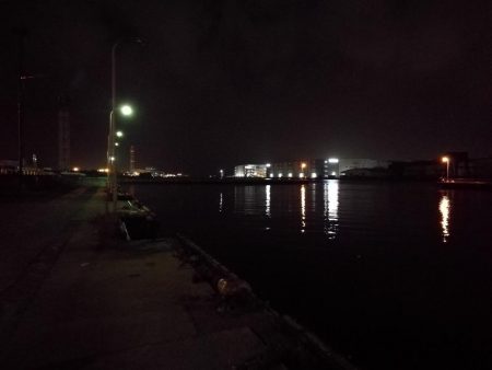 南港フェリーヘチ釣り （小キビレ、小真チヌ、ガシラ 釣果有）