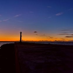 台風からの贈り物、ウィードエリア