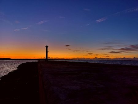 台風からの贈り物、ウィードエリア