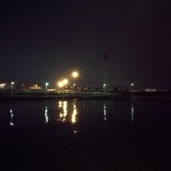 南港フェリーヘチ釣り （小雨降る中～小キビレ、小真チヌ、小メジナ、釣果有り）