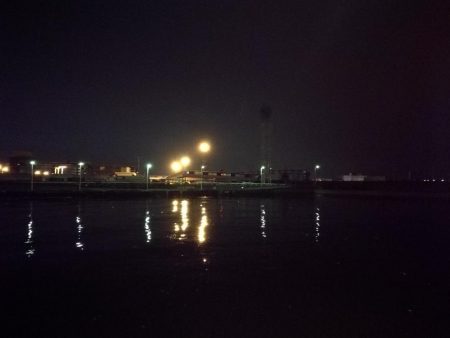 南港フェリーヘチ釣り （小雨降る中～小キビレ、小真チヌ、小メジナ、釣果有り）