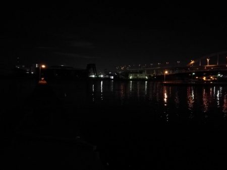 渋めの南港フェリーヘチ釣り （真チヌ、小キビレ、釣果）