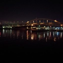 南港フェリーヘチ釣り （小キビレ、ガシラ 釣果）